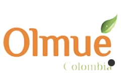 Olmué Olmué